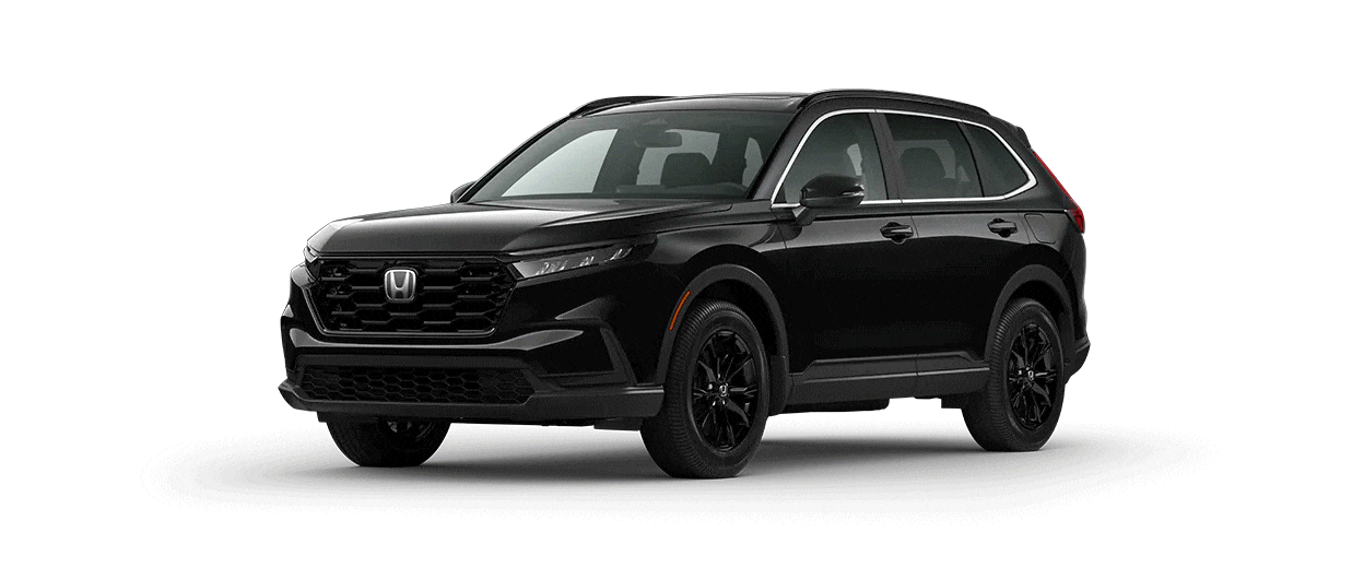 Explore the CR-Vs Colour Options