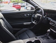 2026 Ford Mustang GT Premium | 5.0L | 401A | NITE PONY | ACTV VALVE