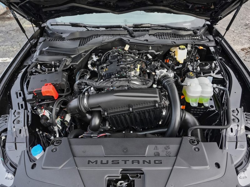 2026 Ford Mustang EcoBoost | 2.3L | 100A | AUTO | BRONZE PKG