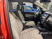 2023 Ford Ranger XLT 4WD SuperCrew 5' Box