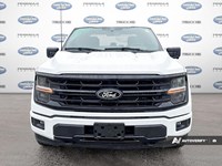 2024 Ford F-150 XLT 4WD SuperCrew 5.5' Box