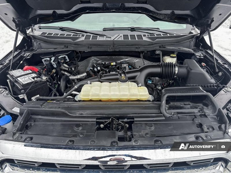 2023 Ford F-150 XLT 4WD SuperCrew 5.5' Box