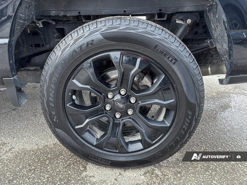 2023 Ford F-150 XLT 4WD SuperCrew 5.5' Box