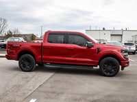 2025 Ford F-150 XLT 4WD SuperCrew 5.5' Box