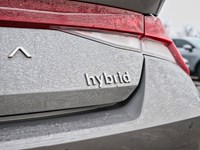 2023 Hyundai Elantra HEV Luxury | Heated & Cooled Seats | Great Fuel Saving