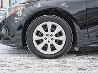 2024 Toyota Corolla LE | Safety Sense | Heated Seats | No Accidents