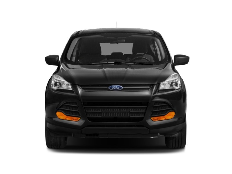 2014 Ford Escape FWD 4dr SE Exterior Shot 6