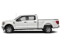 2021 Ford F-150 XLT 4WD SuperCrew 5.5' Box Exterior Shot 6