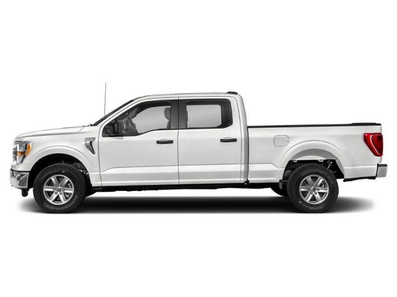 2023 Ford F-150 XLT 4WD SuperCrew 5.5' Box Exterior Shot 6