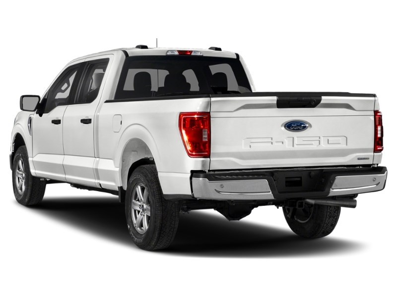 2021 Ford F-150 XLT 4WD SuperCrew 5.5' Box Exterior Shot 9