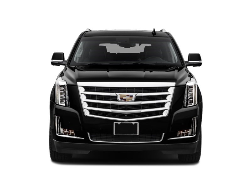 2018 Cadillac Escalade 4WD 4dr Premium Luxury Exterior Shot 6