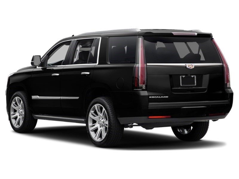 2018 Cadillac Escalade 4WD 4dr Premium Luxury Exterior Shot 10