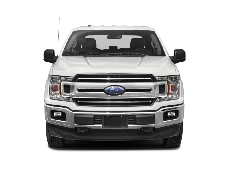 2019 Ford F-150 XLT 4WD SuperCrew 5.5' Box Exterior Shot 6