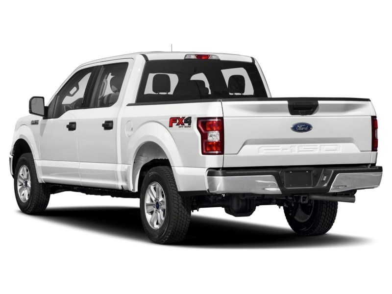 2019 Ford F-150 XLT 4WD SuperCrew 5.5' Box Exterior Shot 10