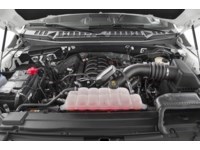 2019 Ford F-150 XLT 4WD SuperCrew 5.5' Box Exterior Shot 3