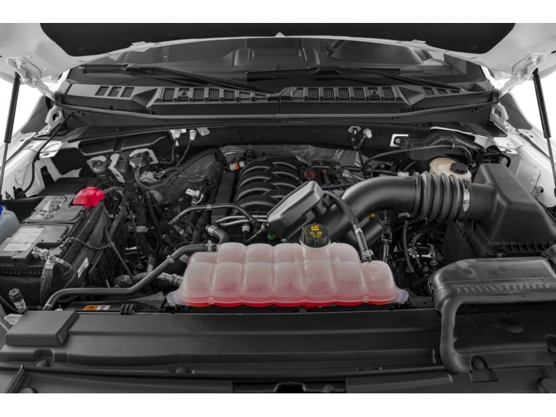 2019 Ford F-150 XLT 4WD SuperCrew 5.5' Box Exterior Shot 3