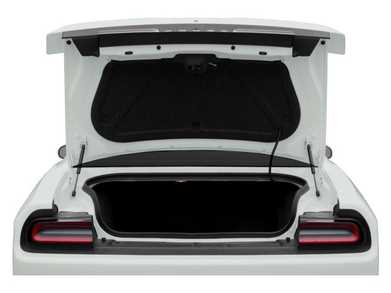 2020 Dodge Challenger R/T RWD Exterior Shot 4