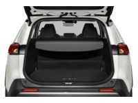 2020 Toyota RAV4 Limited AWD Exterior Shot 4