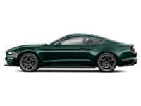2019 Ford Mustang NO ACCIDENTS | 480 HORSEPOWER | 6 SPEED MANUAL Exterior Shot 2