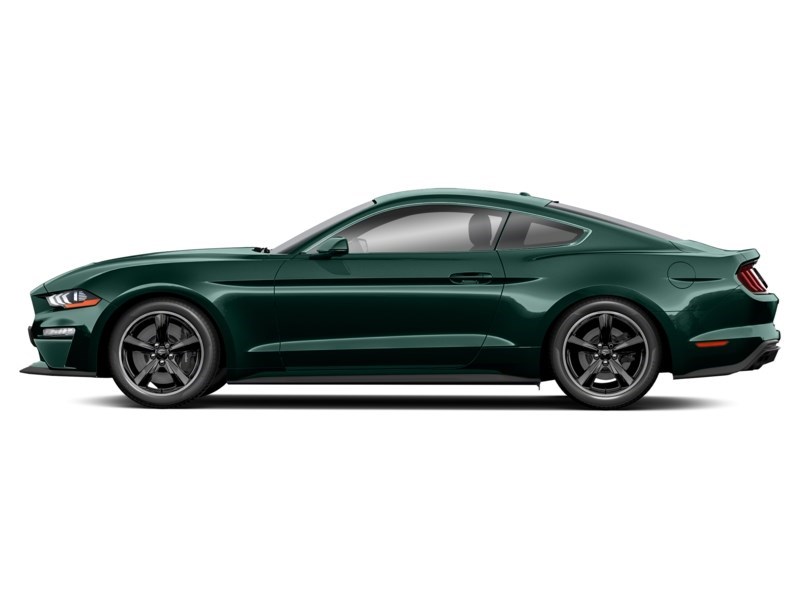 2019 Ford Mustang NO ACCIDENTS | 480 HORSEPOWER | 6 SPEED MANUAL Exterior Shot 2