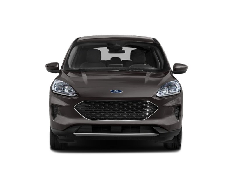 2021 Ford Escape SE Hybrid AWD Exterior Shot 5