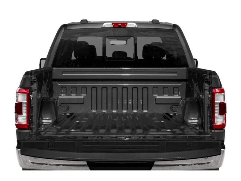 2021 Ford F-150 LARIAT 4WD SuperCrew 5.5' Box Exterior Shot 4