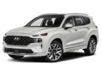 2022 Hyundai Santa Fe Ultimate Calligraphy AWD Exterior Shot 1