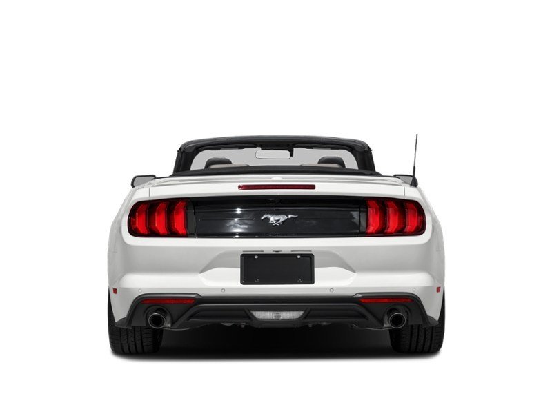 2022 Ford Mustang EcoBoost Convertible Exterior Shot 7