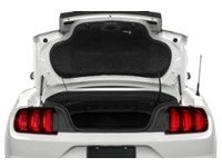 2022 Ford Mustang EcoBoost Convertible Exterior Shot 4