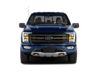 2023 Ford F-150 Tremor 4WD SuperCrew 5.5' Box Exterior Shot 5