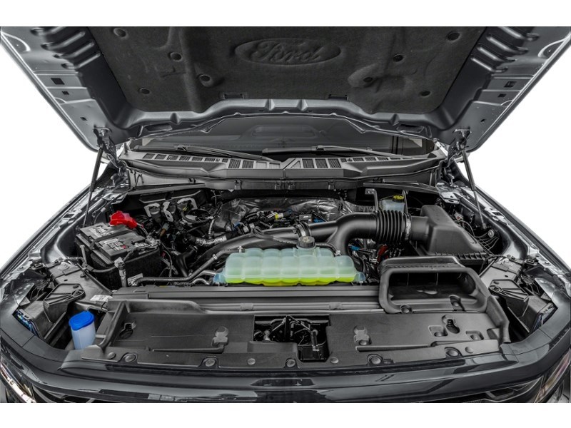 2025 Ford F-150 XLT 4WD SuperCrew 5.5' Box Exterior Shot 3