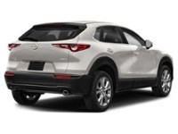 2023 Mazda CX-30 GS AWD Platinum Quartz Metallic  Shot 26