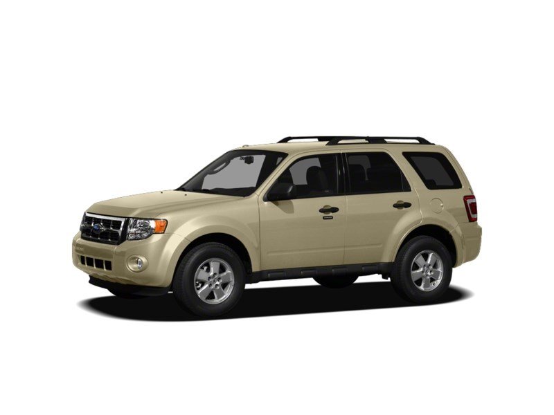 2011 Ford Escape FWD 4dr I4 Auto XLT Gold Leaf Metallic  Shot 6