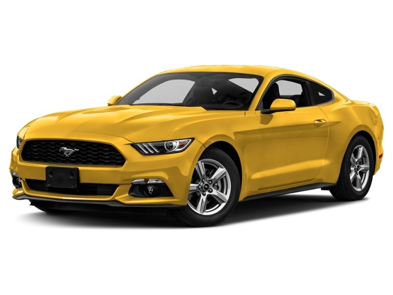2017 Ford Mustang 2dr Fastback EcoBoost Triple Yellow Tri-Coat  Shot 4