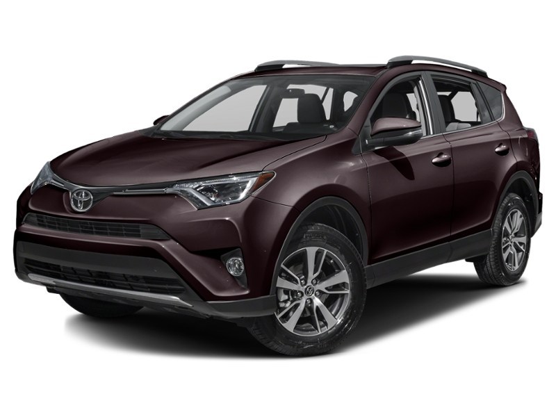2017 Toyota RAV4 AWD 4dr XLE Black Currant Metallic  Shot 16