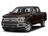2019 Ford F-150 XLT 4WD SuperCrew 5.5' Box Magma  Shot 13