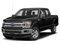2019 Ford F-150 XLT 4WD SuperCrew 5.5' Box Magnetic  Shot 22