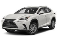 2021 Lexus NX 300 NX 300 AWD Eminent White Pearl  Shot 10