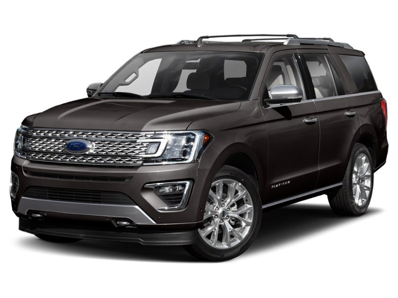 2020 Ford Expedition Platinum 4x4 Magnetic Metallic  Shot 1