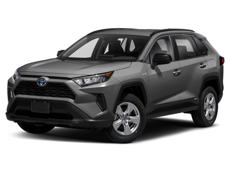 2019 Toyota RAV4 Hybrid AWD Hybrid LE Magnetic Grey Metallic  Shot 1