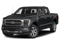 2022 Ford F-150 Platinum 4WD SuperCrew 5.5' Box Smoked Quartz Tinted Clearcoat  Shot 1