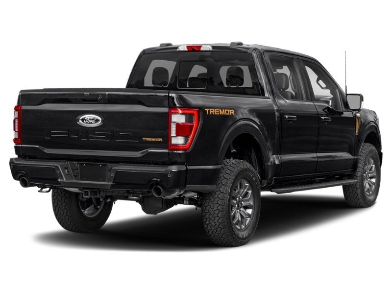 2022 Ford F-150 Tremor | 4X4 | 3.5L | 402A | ROOF | NAV | 360 Agate Black Metallic  Shot 6