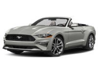 2022 Ford Mustang EcoBoost Convertible Iconic Silver Metallic  Shot 41