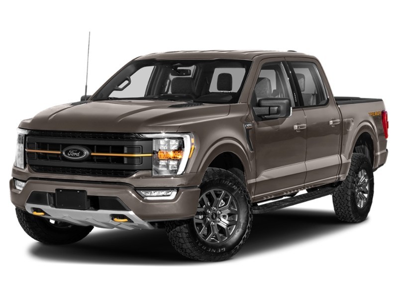 2023 Ford F-150 Tremor 4WD SuperCrew 5.5' Box Stone Grey Metallic  Shot 13