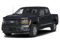 2026 Ford F-150 XLT | 4X4 | 5.0L | 303A | BLK PK PLS | ROOF |BED U Agate Black Metallic  Shot 1