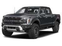 2026 Ford F-150 Raptor |4X4 | 3.5L | 801A | ROOF | SPRAY IN Agate Black Metallic  Shot 1